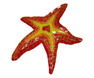 Estrella de Mar